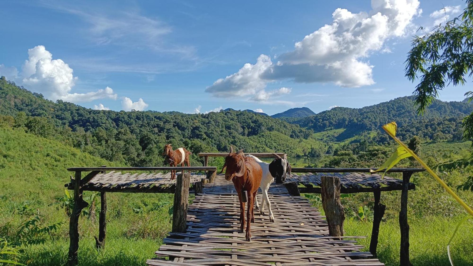 ไร่นิธิสุนทร Nithisoonthon Farmstay Mae Hong Son Exterior foto