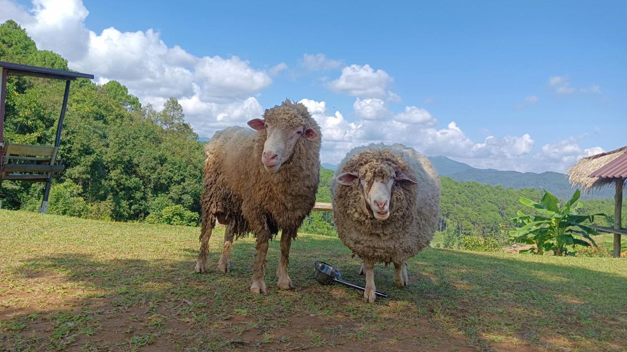 ไร่นิธิสุนทร Nithisoonthon Farmstay Mae Hong Son Exterior foto